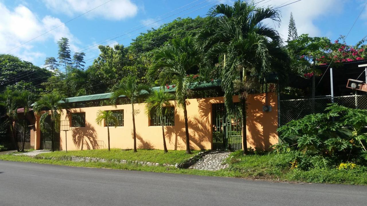 Embassy House Bed & Breakfast Puerto Jimenez Bagian luar foto
